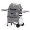 Grill image for model: EZT40040-T402 (Advantis)